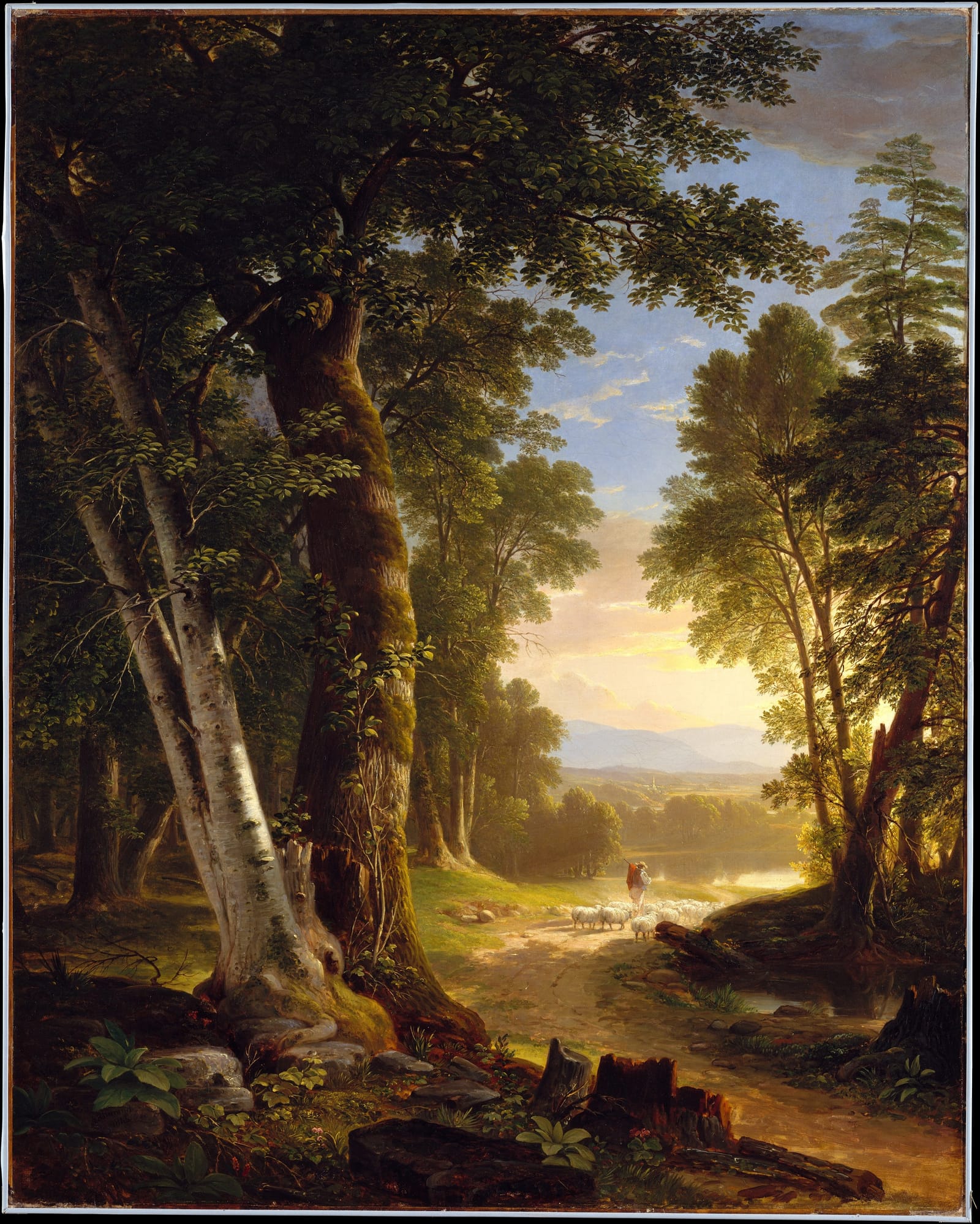 Tall beeches by a path, a shepherd with his flock walking into bright light.